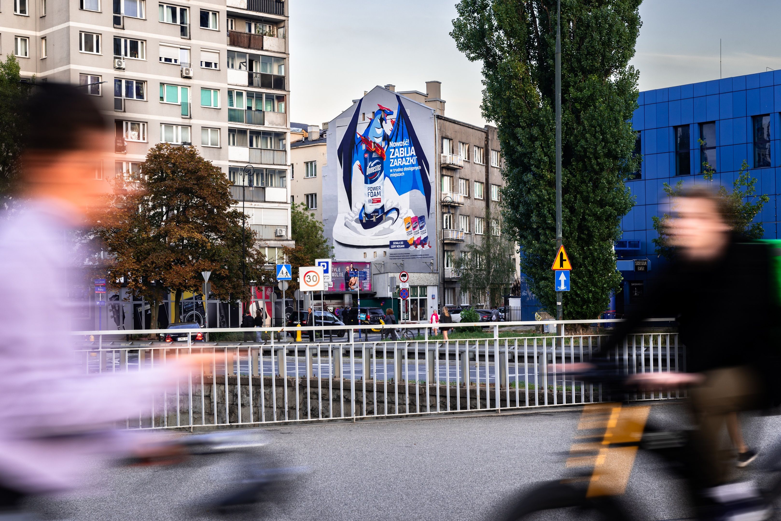 Good Looking namalowało mural w Warszawie przy ulicy Polnej 24 dla Domestosa